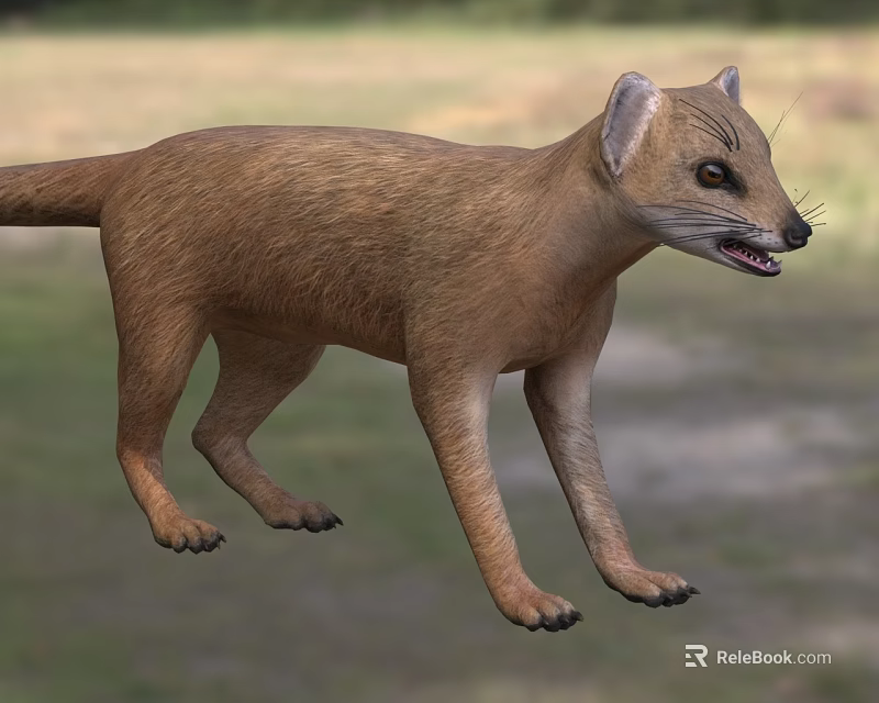 Brown Reptile With Slender Body In Grassland 3d model 