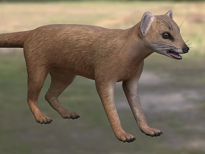 Brown Reptile With Slender Body In Grassland 3d model