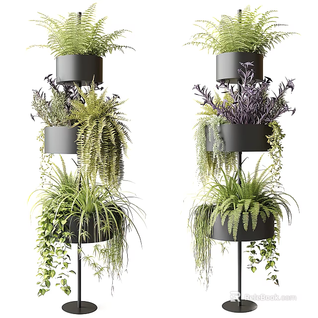 Multi Tiered Metal Stand With Black Pots And Various Ferns For Bonsai Potted Plants 3d model 