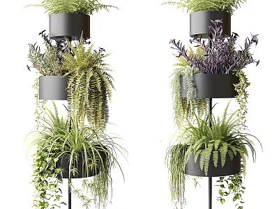 Multi Tiered Metal Stand With Black Pots And Various Ferns For Bonsai Potted Plants 3d model