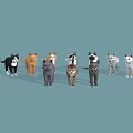 Various Breeds and Colored Cats with Distinct Patterns Standing on Blue Background