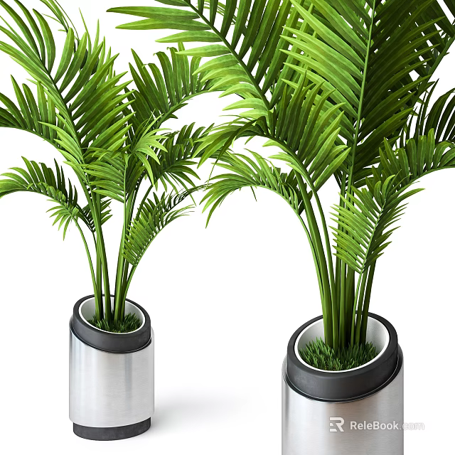 Bonsai Potted Plants with Green Palm Leaves in Silver Cylindrical Decorative Pots 3d model 