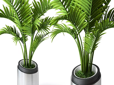 Bonsai Potted Plants with Green Palm Leaves in Silver Cylindrical Decorative Pots 3d model