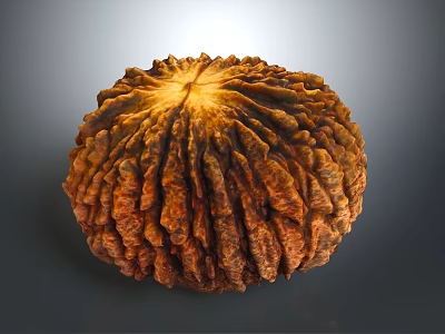 Rustic Dried Fruit With Textured Brown Surface And Circular Shape 3d model