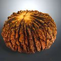 Rustic Dried Fruit With Textured Brown Surface And Circular Shape