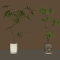 Modern Green Plant Potted Plant 3d model