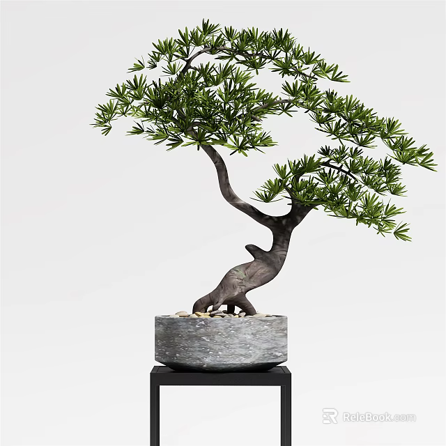 Bonsai Tree With Curved Trunk And Lush Green Foliage In Stone Pot On Black Stand 3d model 