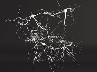 3D Rendered Neural Network Structure With Interconnected Neurons On Black Background 3d model