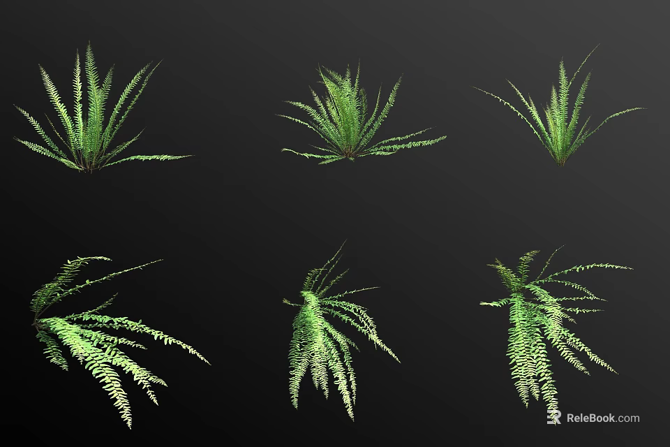 Various Green Foliage Plants for Indoor Decorative Design Display with Different Leaf Shapes 3d model 