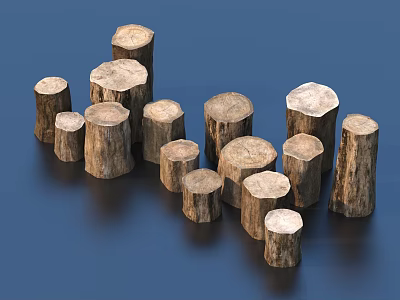 Wood Wood Wood Wood Pile Combination 3d model