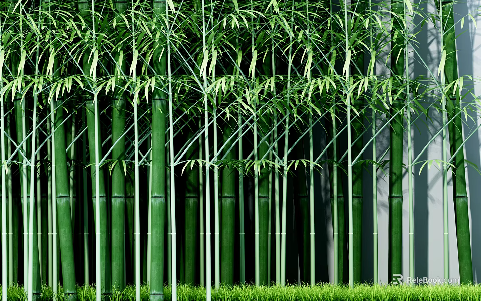 Tall Green Bamboo Grove With Dense Leaves And Grassy Ground 3d model 
