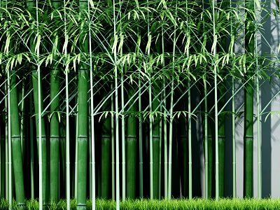 Tall Green Bamboo Grove With Dense Leaves And Grassy Ground 3d model