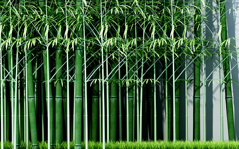 Modern bamboo 3d model