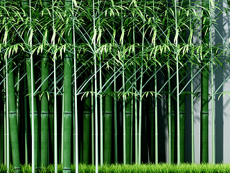 Modern bamboo 3d model