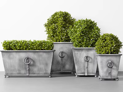 Potted Green Round Shrubs In Various Sizes Metal Planters With Ring Decorations And Wheels 3d model