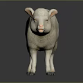 White Lamb Model Standing On Dark Background With Shiny Surface And Realistic Texture
