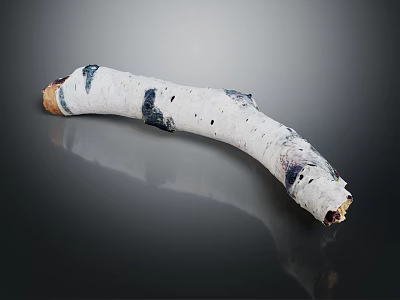 Handcrafted Curved Birch Wood Artifact With Natural Stone Inlays And Black Spot Textures 3d model
