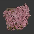 Pink Flowering Bonsai Tree With Green Leaves Brown Trunk In Square Pot
