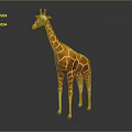 Giraffe Standing Tall With Long Neck And Spotted Coat In Upright Posture