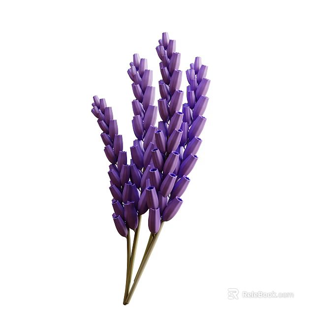 Fresh Purple Lavender Flower Bunches With Green Stems And Natural Decorative Look 3d model 