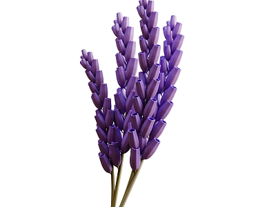 Fresh Purple Lavender Flower Bunches With Green Stems And Natural Decorative Look 3d model