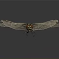 Flying Dragonfly With Red Eyes Black And Yellow Stripes And Transparent Wings