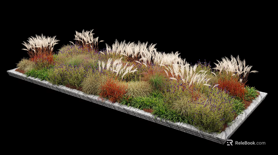Layered Ornamental Flower and Grass Garden Bed with White Grasses Green Shrubs and Red Herbaceous Plants 3d model 