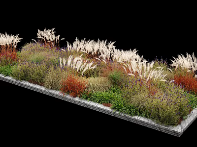 Layered Ornamental Flower and Grass Garden Bed with White Grasses Green Shrubs and Red Herbaceous Plants 3d model
