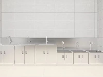 Stainless Steel Countertops With Multiple Sinks And Ceramic Tile Wall 3d model