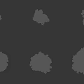 Different Types of Trees Showing Various Natural Shapes and Forms
