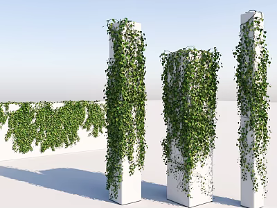 Green Vines Growing On White Pillars And Wall For Decorative Outdoor Design 3d model