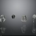 Four Women Head Models With Different Hairstyles Against Gray Gradient Background and Ground Reflections