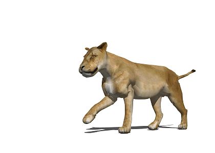 Modern Lion Animal King of the Jungle Lion King 3d model