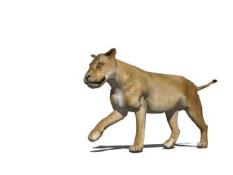 Modern Lion Animal King of the Jungle Lion King 3d model