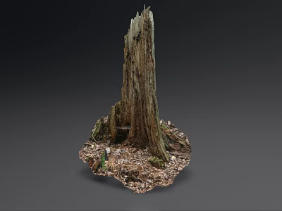 Weathered Tree Stump With Rough Bark Texture And Moss Covered Ground Base 3d model