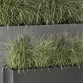 Stylish Garden Decor Pieces Featuring Grey Rectangular Planters And Lush Ornamental Grasses 3d model