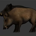Two Black and Brown Wild Boars Standing Side by Side on Reflective Floor 3d model