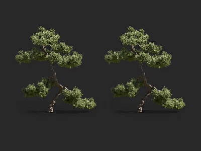 Two Unique Shaped Arbors With Lush Green Foliage And Curved Trunks For Landscape 3d model