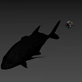 Realistic Fish Model With Floating Colorful Dice In Gray Background