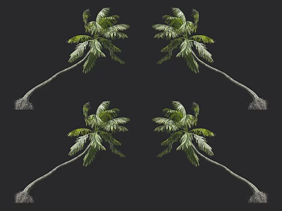 Tall Palm Trees With Lush Green Fronds And Long Curved Trunks 3d model