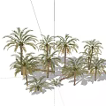 Modern Date Palm Tropical Date Palm 3d model