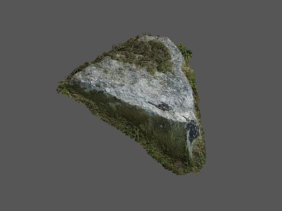 Natural Triangular Stone Piece Covered With Green Moss And Textured Surface Details 3d model