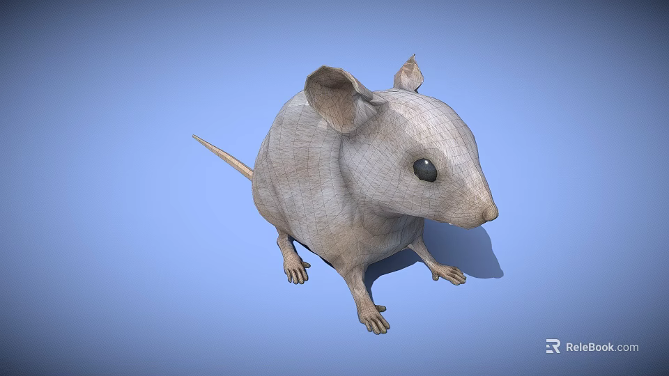 3D Wireframe Rat Character Model With Big Ears For Game And Movie Scenes 3d model 