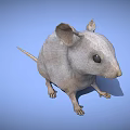 3D Wireframe Rat Character Model With Big Ears For Game And Movie Scenes