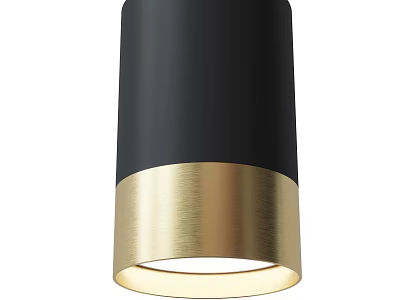 Black Gold Downlight Spotlight Modern Design With Metal Finish And Bright LED Ceiling Lighting 3d model