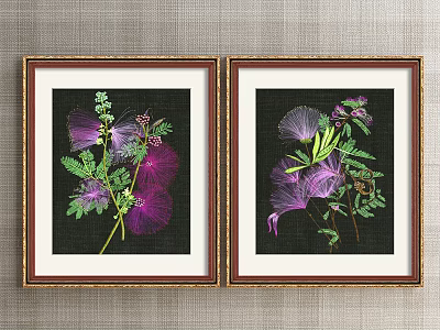 Framed Botanical Paintings With Brown Frame Gold Accent Black Background Purple Green Flowers Leaves 3d model