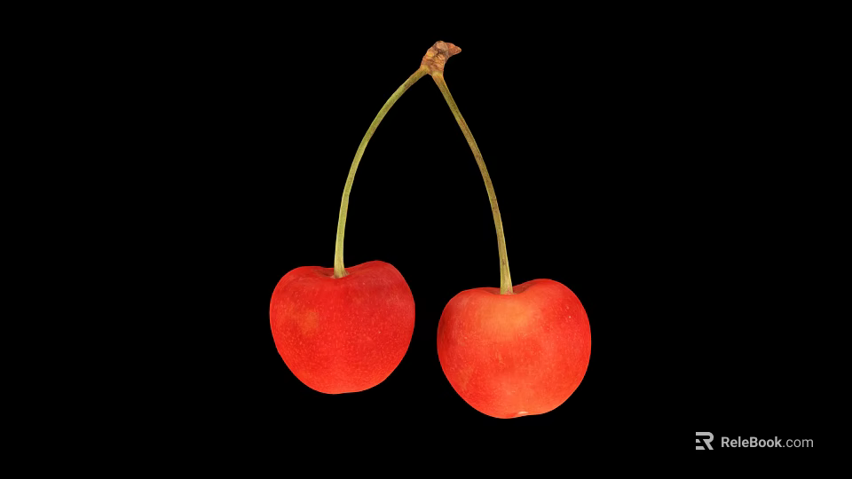 Two Fresh Red Cherries With Green Stems On Black Background 3d model 