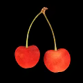 Two Fresh Red Cherries With Green Stems On Black Background