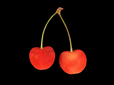 Two Fresh Red Cherries With Green Stems On Black Background 3d model