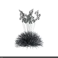 Blue Spherical Ornamental Plants with Silver Delicate Leaves and Foliage